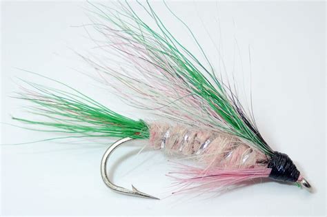 Little Rainbow Trout - Wooly Bugger Fly Co.