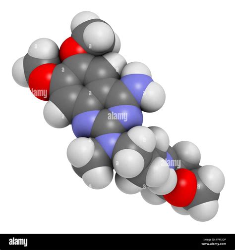 Prostata Hyperplasie Fotos Und Bildmaterial In Hoher Aufl Sung Alamy