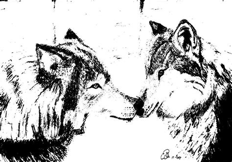 Wolves Love Bw Drawing By Gail Schmiedlin Fine Art America