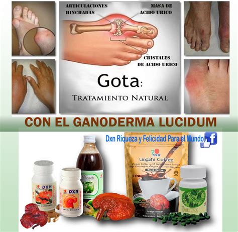 GOTA TRATAMIENTO NATURAL DXN Riqueza Y Felicidad Para El Mundo