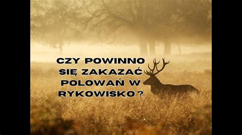 Czy powinno się zakazać polowań w rykowisko Odpowiada lekarz