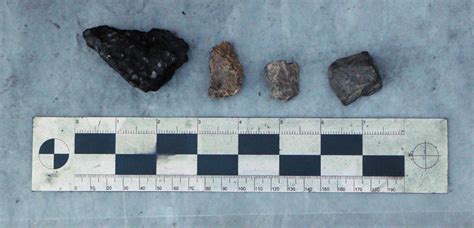 Review Of Cowboy Oak And Hickory Lump Charcoal Naked Whiz Ceramic Charcoal Cooking