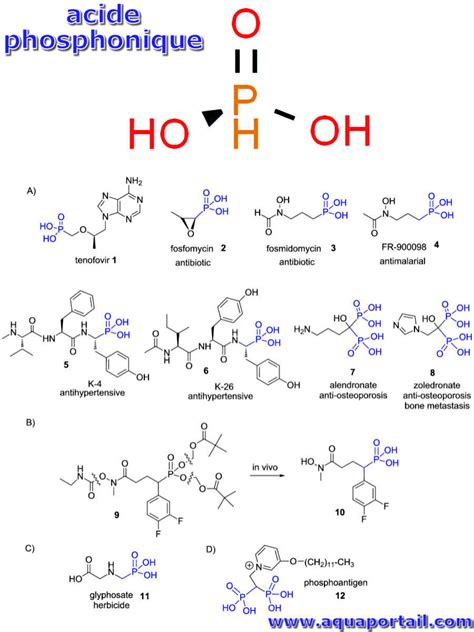 Acide Phosphonique D Finition Et Explications