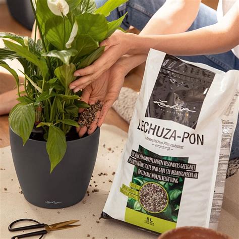 Субстрат для пересадки растений Lechuza PON- gartenburo.ru