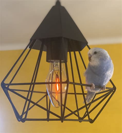 Корм для птиц Природа Рацион: мультивитамин+йод - для особо заботливых ...