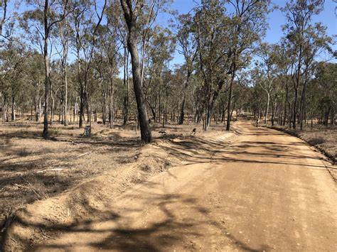 Goomeri South Burnett Rail Trail