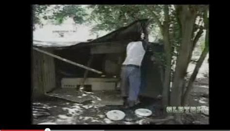 Gay Lesbian Bisexual Transgender Queer Jamaica So Shaggy Said Jamaicans Aren T Killing Gays