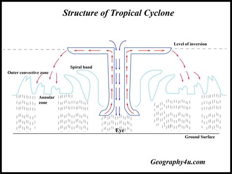 Parts Of A Cyclone Diagram