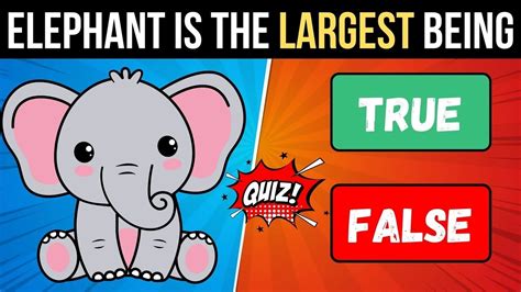 Play True Or False Quiz And Test Your Knowledge With 75 Questions