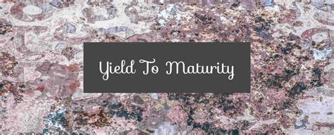 yield  maturity       important
