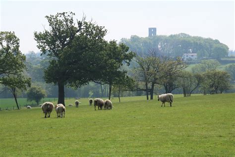 Dorset Group 14 May 23 All Around Horton Gay Outdoor Club