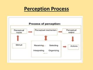 Perception Ppt