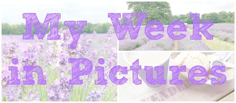 My Week In Pictures - 26th June - 2nd July • Vintage Frills