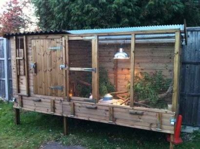 4-diy-quail-hutch-ideas-and-designs - Homestead & Survival