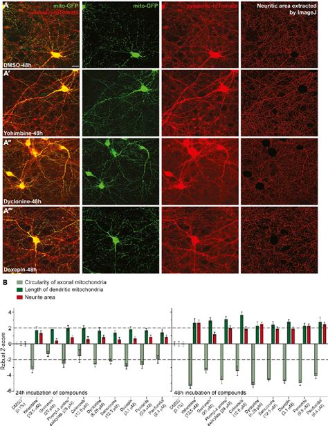 Figure 4 From High Throughput Small Molecule Screen Identifies