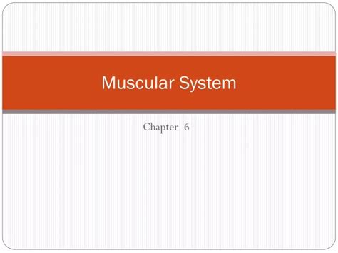 Ppt Muscular System Powerpoint Presentation Free Download Id2181015