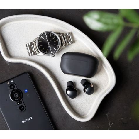 Наушники Sony WF-1000XM5 Black (WF1000XM5B.CE7) купить | Цена, отзывы ...