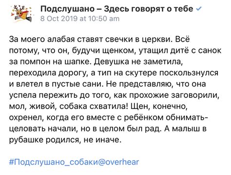 Умный пёсик | Пикабу