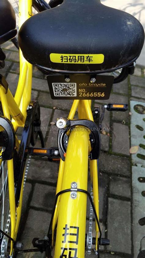 Ofo「小黃車」也登陸贛州了！ 每日頭條