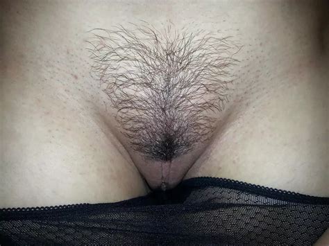 Do You Like Triangle Cut Nudes HairyPussy NUDE PICS ORG