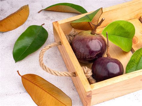 Ripe Purple Star Apple Fruit With Leaves In A Wooden Crate Stock Image