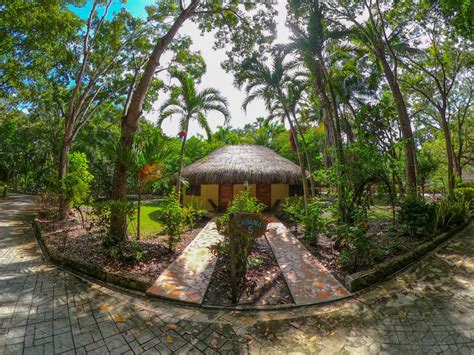 The Mayan Garden Tower Hill Orange Walk District Belize Venue Report