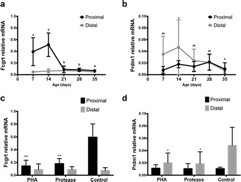 Expression Of MRNA For Fcgrt FcRn And Prdm1 Blimp 1 In The SI Of