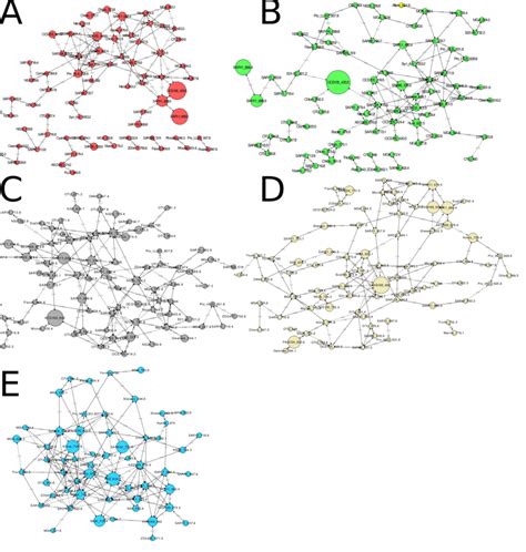 Figure S1 Association Network Showing Statistically Significant Download Scientific Diagram