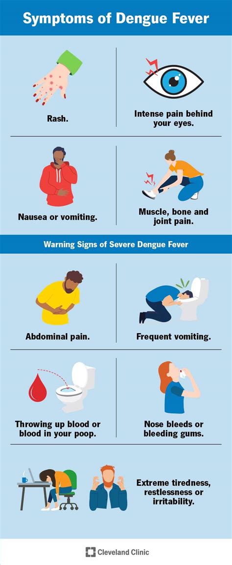 Dengue Rash