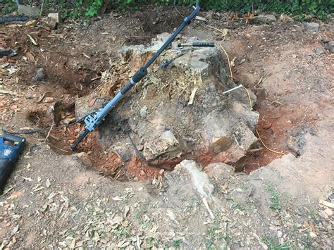 Looking To Hire Someone With A Big Chainsaw To Cut The Top Off This