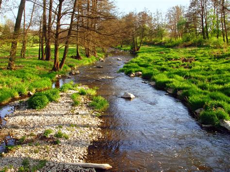 Frühling Fluss Kostenloser Foto Download Freeimages