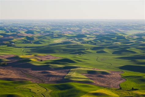 The Palouse - The Seven Wonders of Washington State | Palouse, American ...