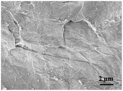 Preparation Method Of Silicon Based Heteropolyacid Doped Magnetic