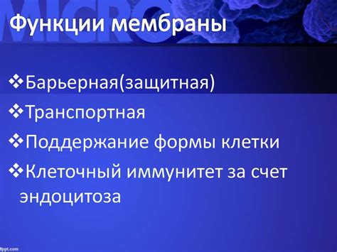 Клетка - живая система: строение и деление - презентация онлайн