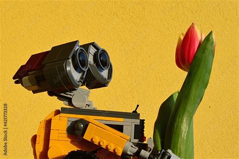 LEGO Wall-E robot from Pixar animated movie examining real orange tulip ...