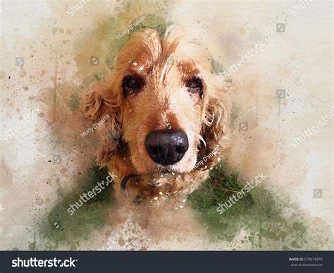 313 Cocker Spaniel Watercolor Images, Stock Photos & Vectors | Shutterstock