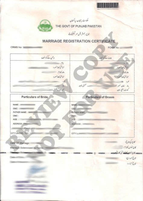 Sample Of Nadra Marriage Certificate Pakistan Lahore Punjab In 2020