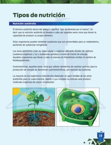 Ciencias Naturales Vo Grado Kingdom Editorial P Gina Flip