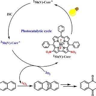 Schematic Illustration Of The Singlet Oxygen Generation From The