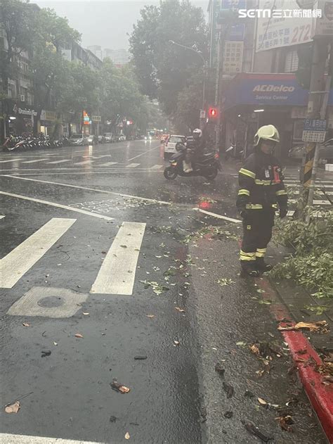 無人傷亡！北市連日午後雷陣雨 一小時兩起路樹倒塌 社會 三立新聞網 Setn