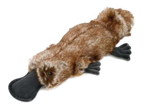 Plush Stickybeak Platypus 35cm Australian Geographic