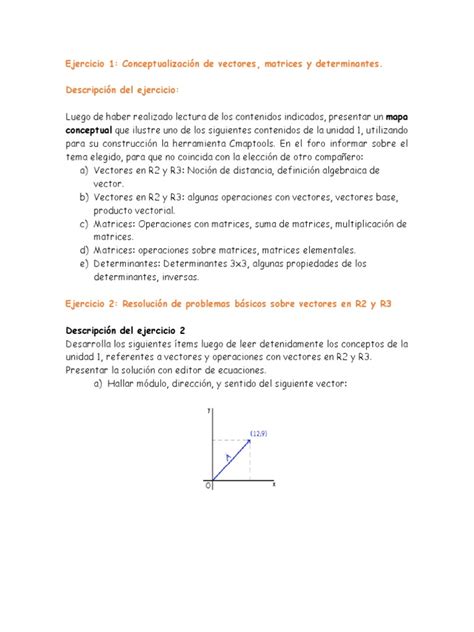 Ejercicios Resueltos Algebra Lineal Pdf Espacio Vectorial Determinante