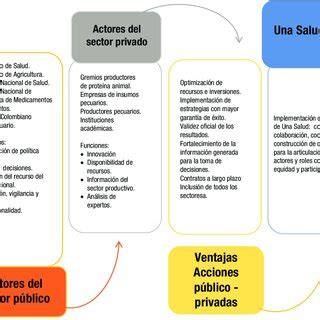 Diagrama de acción público privada bajo el enfoque de Una Salud