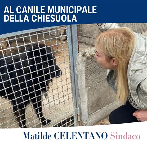Matilde Celentano In Visita Al Canile Della Chiesuola Sostegno Ai Volontari Latina Quotidiano