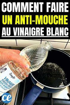 Id Es De Anti Mouches En Contre Les Mouches Mouches Lutter