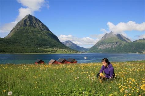 Helgeland - Alchetron, The Free Social Encyclopedia