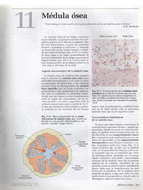 Pdf M Dula Sea Histolog A Dokumen Tips