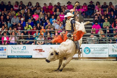 Gallery Priority Construction Rochester Bull Riding Challenge