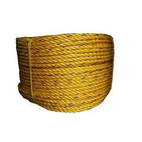 Yellow Danline Pp Rope M Mm At Rs Kg In Chennai Id