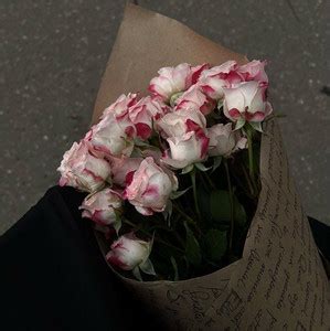 Cigarettes After Sex Playlist By Anna Spotify